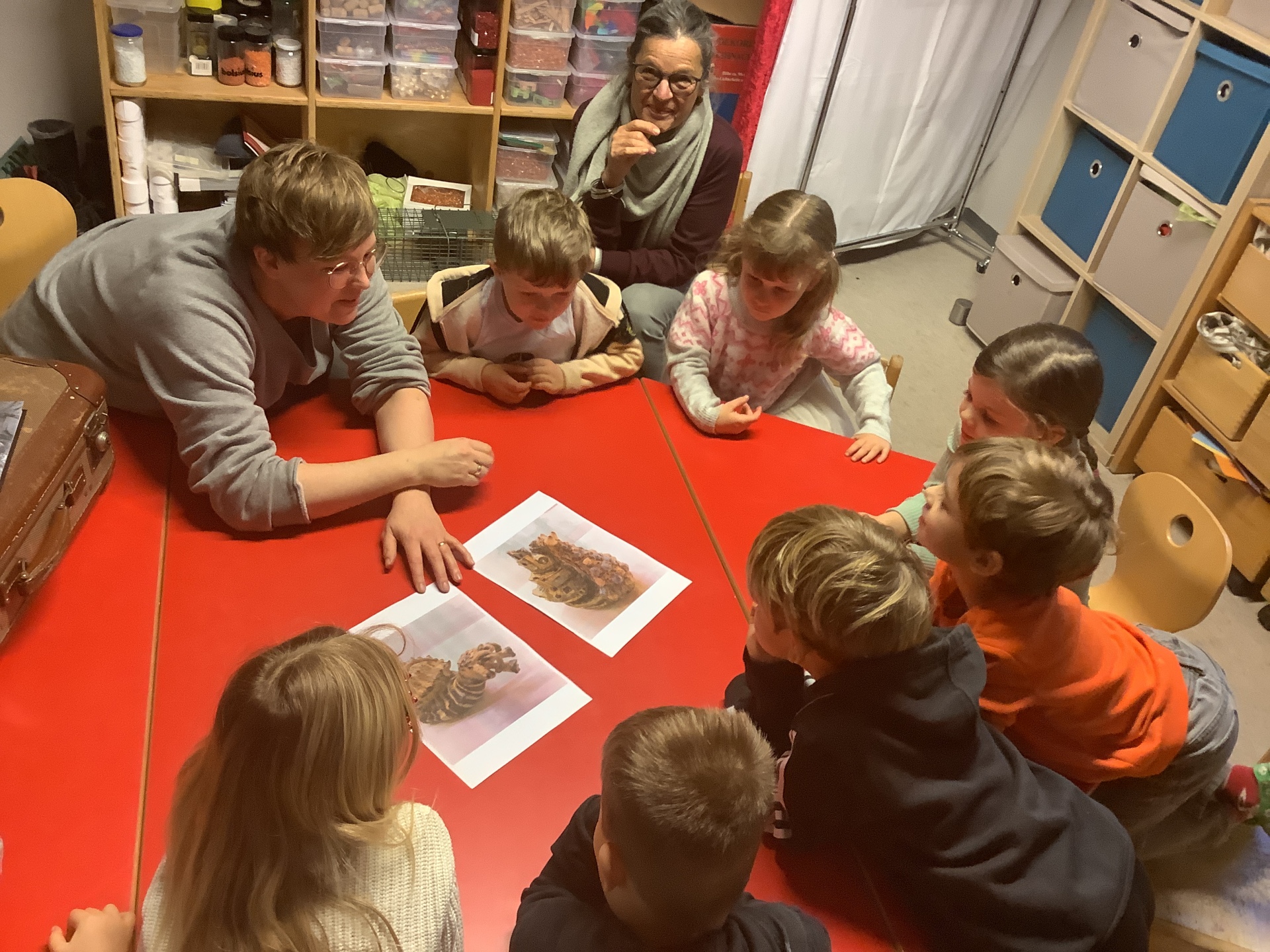 Eine Kindergruppe betrachtet mit zwei Erwachsenen zwei Bilder von zwei außergewöhnliches Schneckenhäusern aus der Hoormann-Stiftung