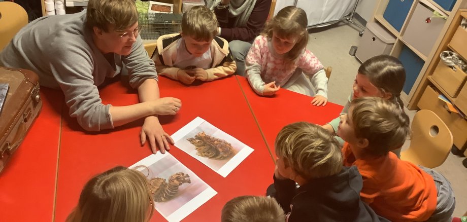 Eine Kindergruppe betrachtet mit zwei Erwachsenen zwei Bilder von zwei außergewöhnliches Schneckenhäusern aus der Hoormann-Stiftung