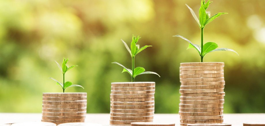 3 unterschiedlich große Stapel goldener Münzen mit kleinen Pflänzchen darauf.