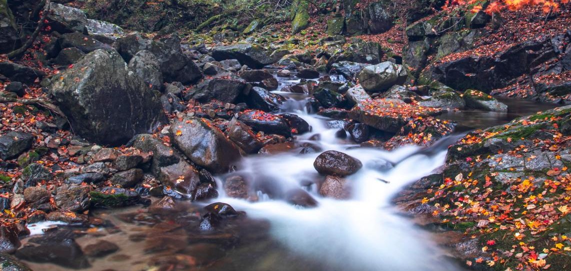 Bach/Fluss Bach/Fluss