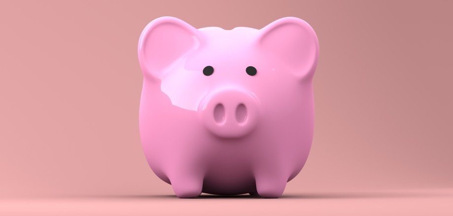 Sparschwein Ein Sparschwein