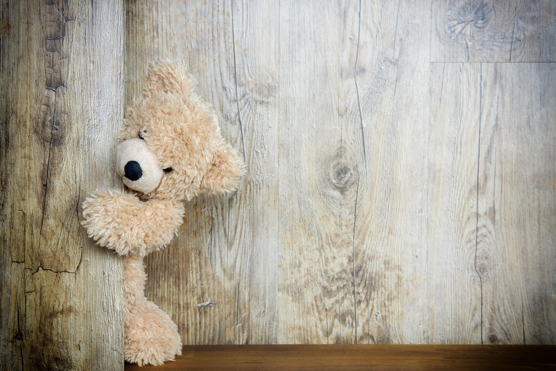 Ein Teddybär lugt hervor