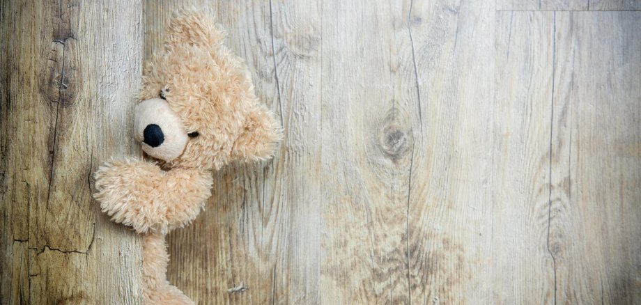 Ein Teddybär lugt hervor Ein Teddybär lugt hervor