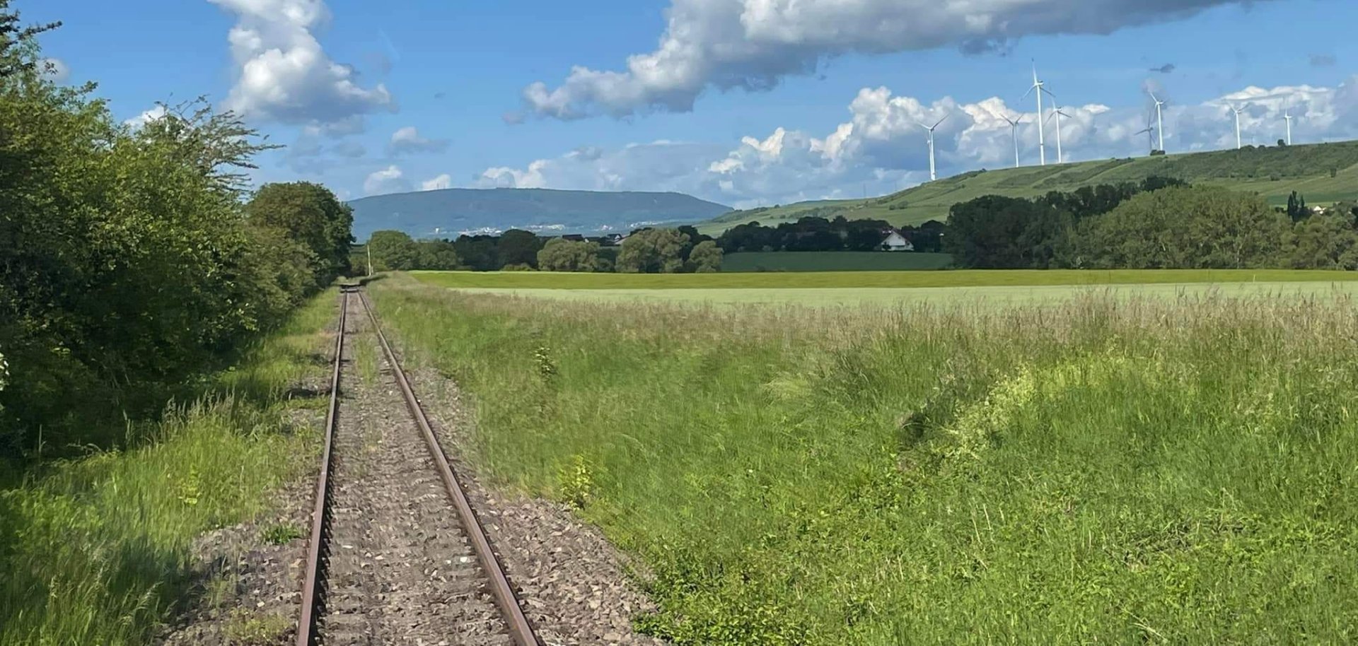 Schienen der Zellertalbahn, im Hintergrund der Donnersbergkreis