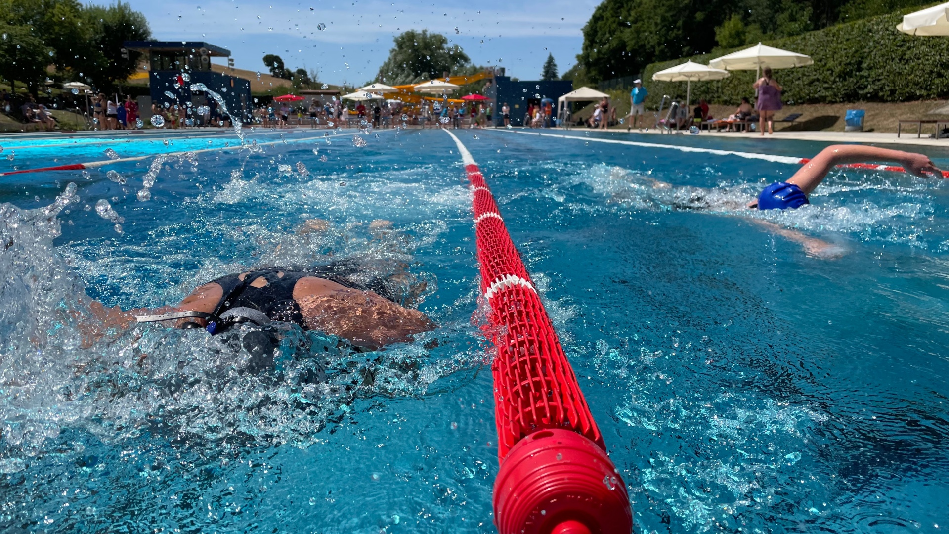 Schwimmer, vom Rand eines Schwimmbeckens fotografiert