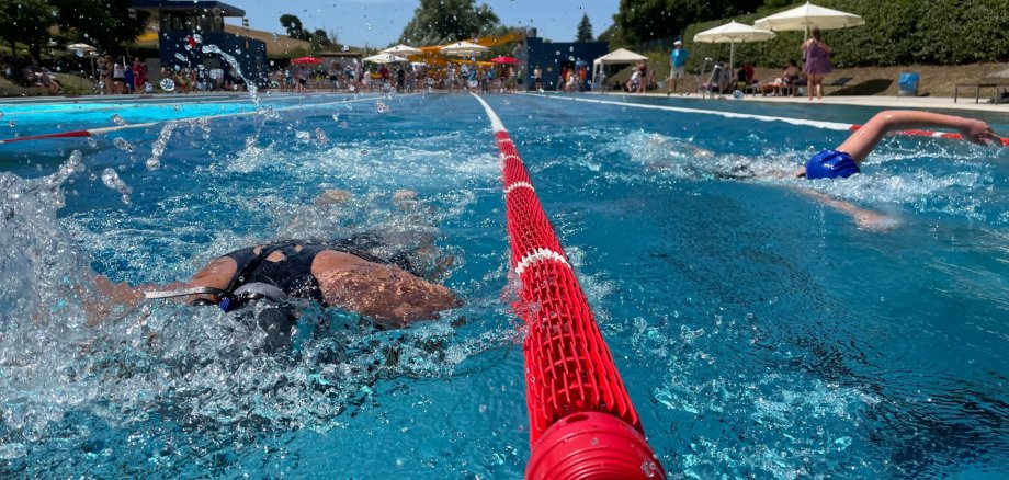 Schwimmer, vom Rand eines Schwimmbeckens fotografiert