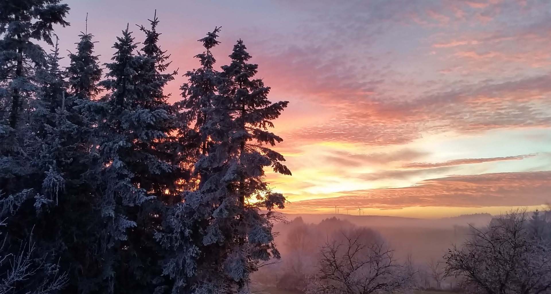Im Vordergrund verschneite Bäume, im Hintergrund eine Hügellandschaft