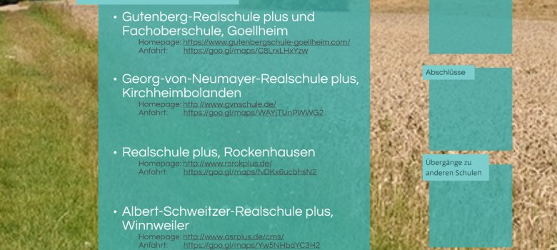 Schaubild Realschule Schaubild Realschulen im Donnersbergkreis